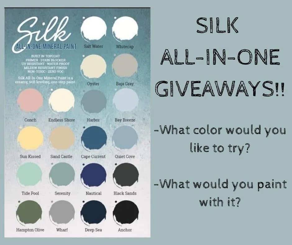 Black Sands - Silk Collection - Dixie Belle Paint Company