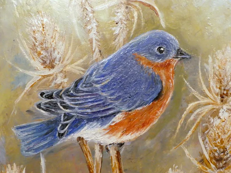 Blue Bird painting, original oil painting