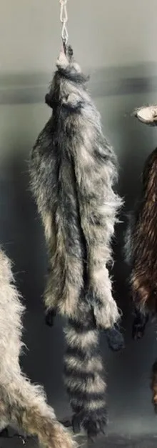 Faux Raccoon Pelt