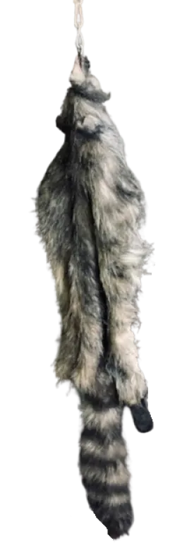 Faux Raccoon Pelt