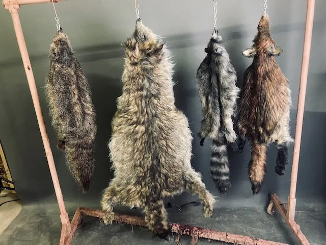 Faux Raccoon Pelt