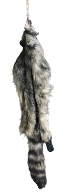 Faux Raccoon Pelt