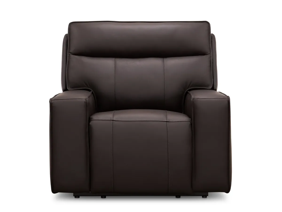 Layton Leather Power Recliner