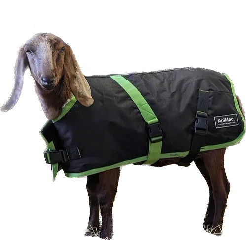 Sheep Coat | Waterproof